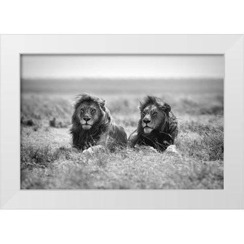 Two kings White Modern Wood Framed Art Print by Merino, Nicolas