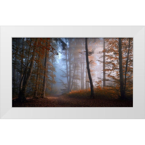 Autumn Colors White Modern Wood Framed Art Print by Maier, Norbert