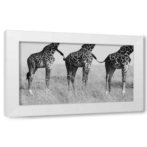 Wild Connection White Modern Wood Framed Art Print by Alnaser, Mohammed
