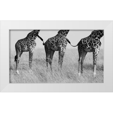 Wild Connection White Modern Wood Framed Art Print by Alnaser, Mohammed