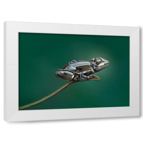 Frog White Modern Wood Framed Art Print by Almawash, Sulaiman