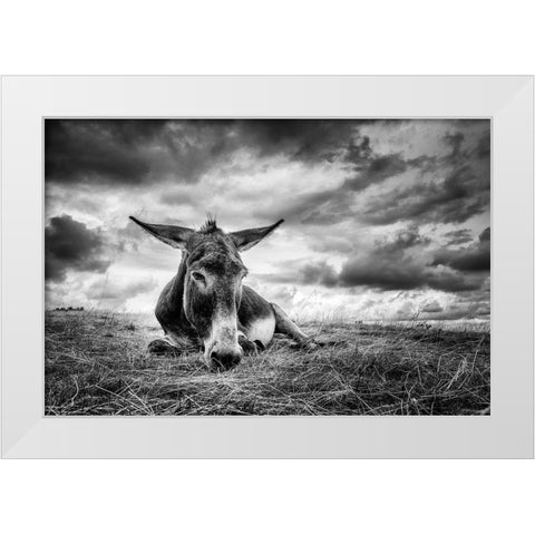 Taking A Break White Modern Wood Framed Art Print by Mortier, Kurt