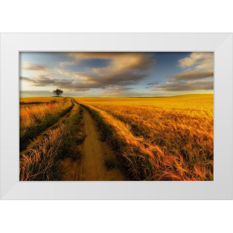 Yellow White Modern Wood Framed Art Print by Krol, Piotr