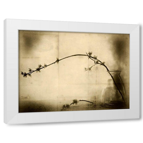 Zen White Modern Wood Framed Art Print by Hummel, Jeffrey