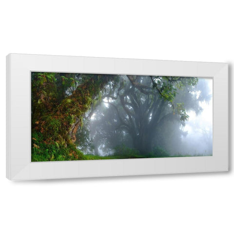 Inside The Clouds White Modern Wood Framed Art Print by Schemel, Bertram