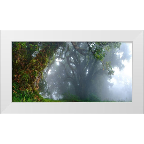 Inside The Clouds White Modern Wood Framed Art Print by Schemel, Bertram