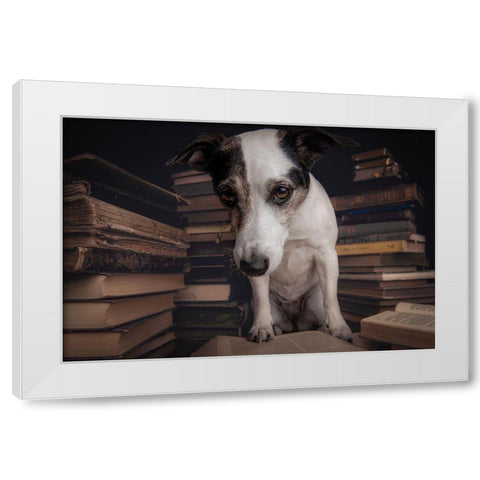 The Student White Modern Wood Framed Art Print by Willers, Heike