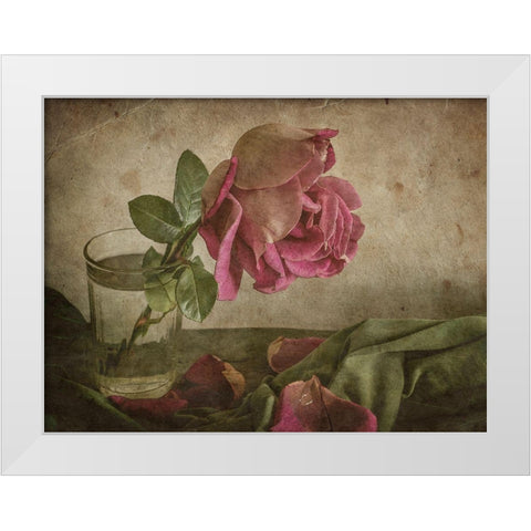 Tear Of Rose White Modern Wood Framed Art Print by Tokarev, Igor