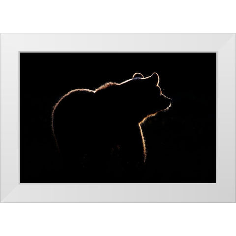 Highlight White Modern Wood Framed Art Print by Golob, Gorazd