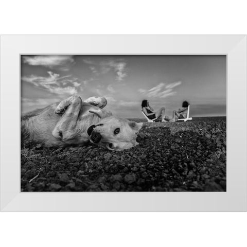 Waiting Patiently White Modern Wood Framed Art Print by Morag, Avi