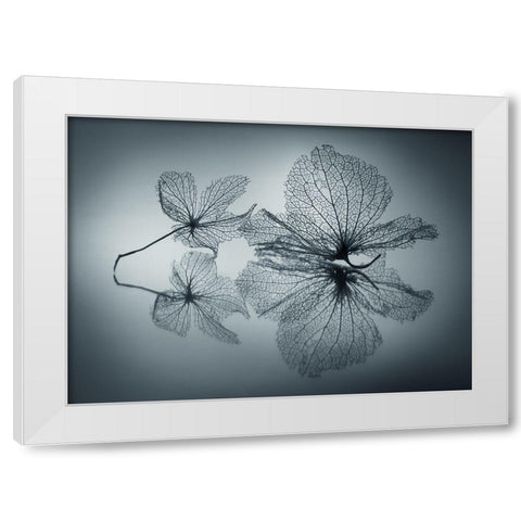 Ephemeral Beauty White Modern Wood Framed Art Print by Kowatari, Shihya