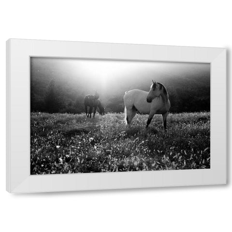Come Home White Modern Wood Framed Art Print by Svoboda Mqep, Peter