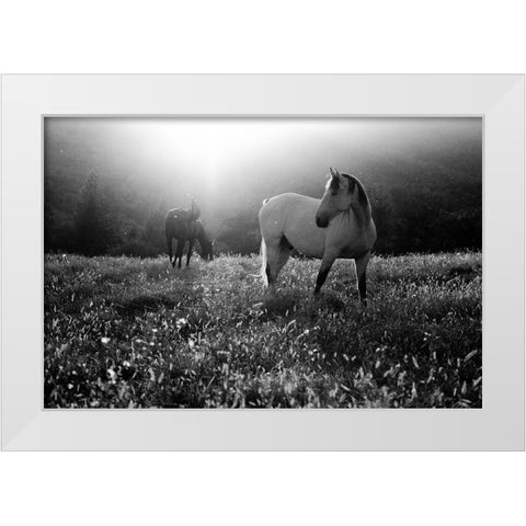 Come Home White Modern Wood Framed Art Print by Svoboda Mqep, Peter