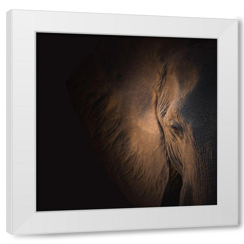 Gentle Giant White Modern Wood Framed Art Print by Wolbers, Louise