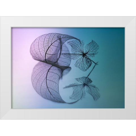 Story Of Leaf And Flower White Modern Wood Framed Art Print by Kowatari, Shihya