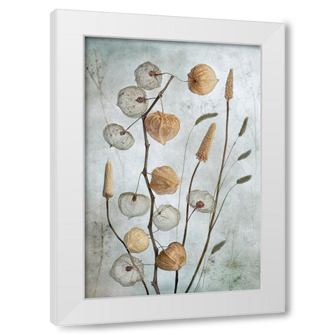 Lanterns White Modern Wood Framed Art Print by Disher, Mandy