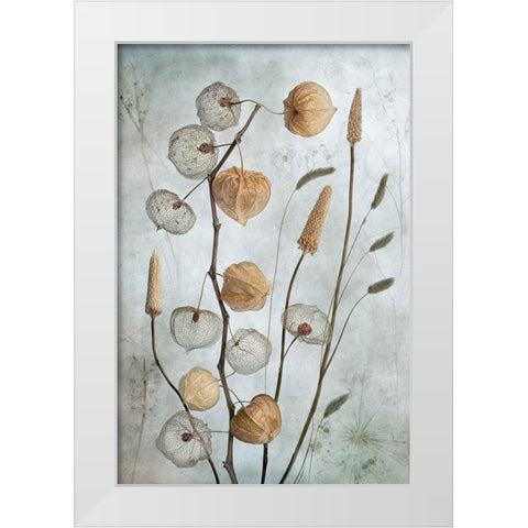 Lanterns White Modern Wood Framed Art Print by Disher, Mandy