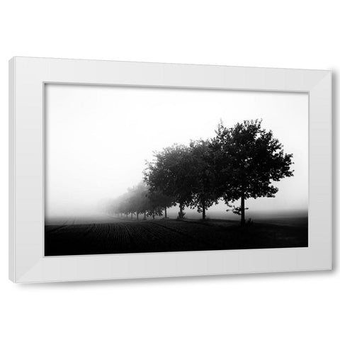 Foggy Day White Modern Wood Framed Art Print by Buchmann, Oliver