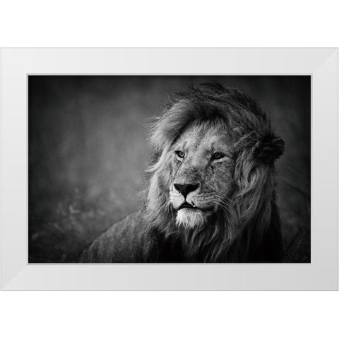 Regal White Modern Wood Framed Art Print by Alnaser, Mohammed