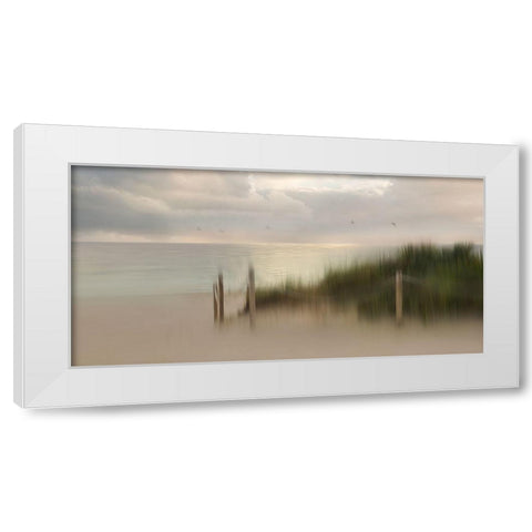 Early Bird White Modern Wood Framed Art Print by Westum, Heidi