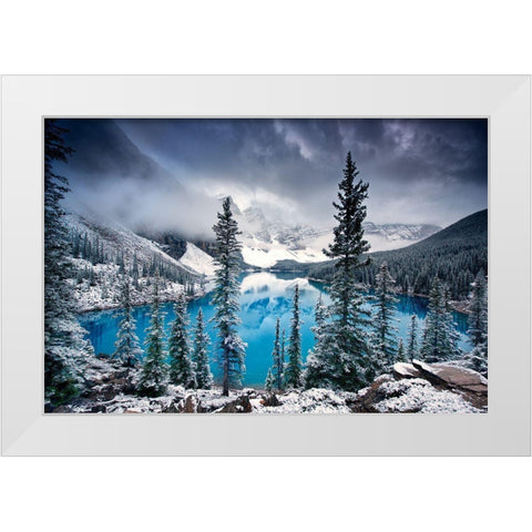 Morning Blues White Modern Wood Framed Art Print by Cole, Trevor