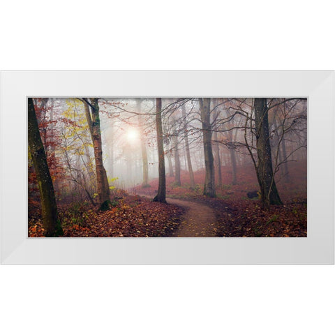 Autumn Sun. White Modern Wood Framed Art Print by Londal, Leif