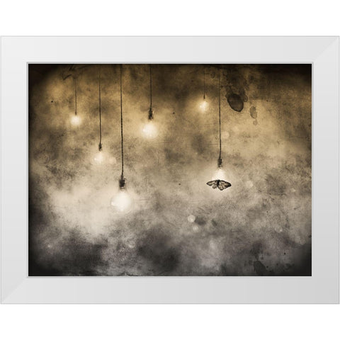 Attraction White Modern Wood Framed Art Print by Hummel, Jeffrey