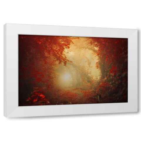 Personal Journey White Modern Wood Framed Art Print by Neer, Ildiko