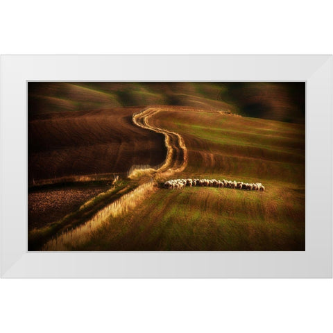 Crossing The Fields White Modern Wood Framed Art Print by Svoboda Mqep, Peter