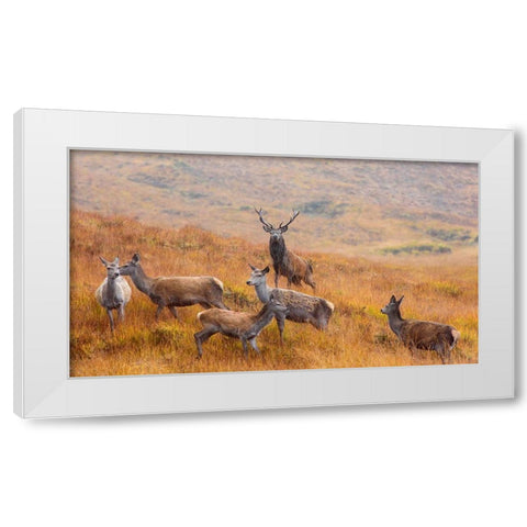 The Guardian Of The Moorland White Modern Wood Framed Art Print by Ruoppolo, Luigi