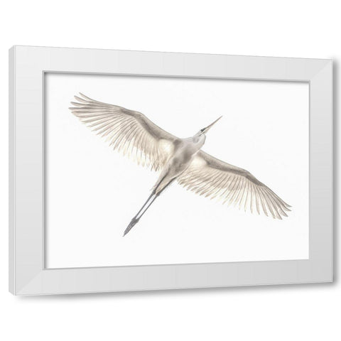 Fly White Modern Wood Framed Art Print by Or, Keren