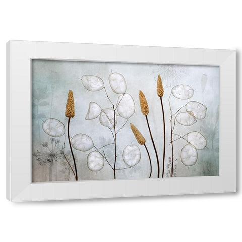 Lunaria White Modern Wood Framed Art Print by Disher, Mandy