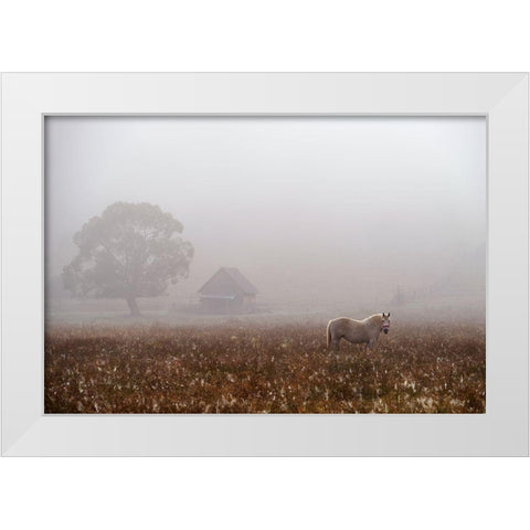 Morning Fog White Modern Wood Framed Art Print by Tanase, Sorin