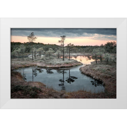 Spilled Paint White Modern Wood Framed Art Print by Cirulis, Reinis