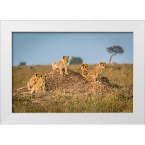 Moms Coming Back - Dinner Is Almost Here. White Modern Wood Framed Art Print by C. Sink, Jeffrey