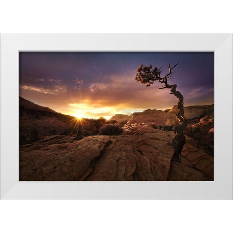 Distorted White Modern Wood Framed Art Print by Vecernik, Mirko