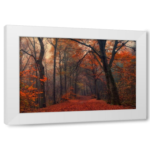 Decorative Forest White Modern Wood Framed Art Print by Van Dongen, Anton