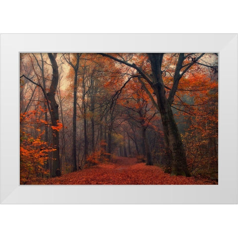 Decorative Forest White Modern Wood Framed Art Print by Van Dongen, Anton