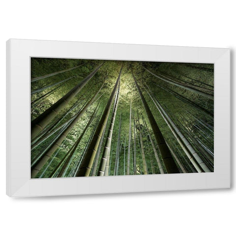 Bamboo Night White Modern Wood Framed Art Print by Marumoto, Takeshi