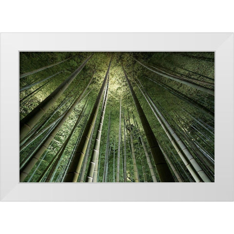 Bamboo Night White Modern Wood Framed Art Print by Marumoto, Takeshi