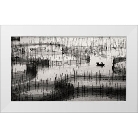 Waiting For The Catch ... White Modern Wood Framed Art Print by Abdulazim, Ahmed