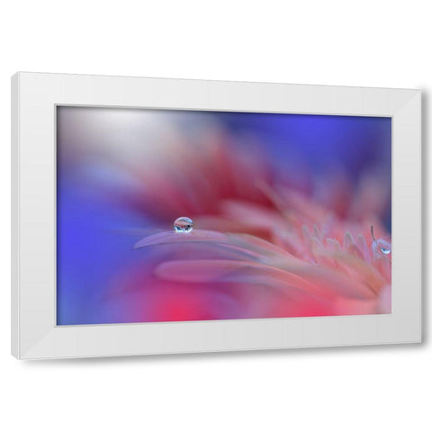 Colorful Explosion... White Modern Wood Framed Art Print by Nan, Juliana