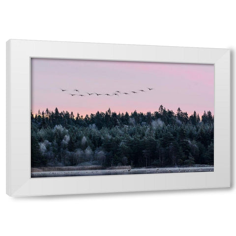 Heading South White Modern Wood Framed Art Print by Emanuelson, Bjorn