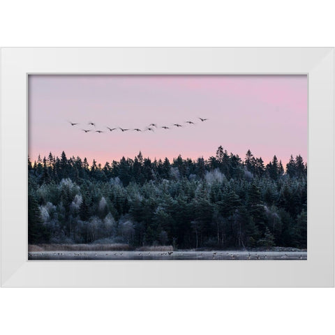 Heading South White Modern Wood Framed Art Print by Emanuelson, Bjorn