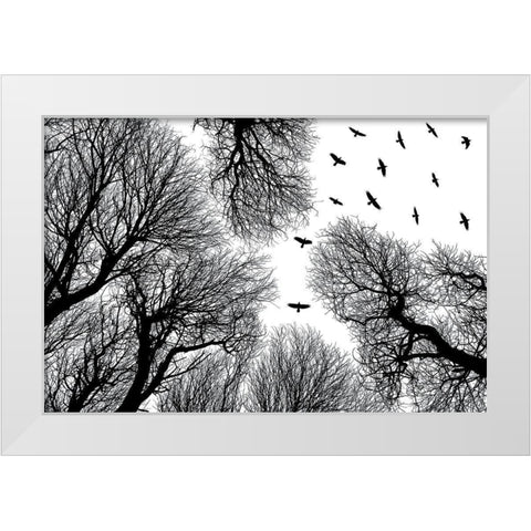 Out To The Open White Modern Wood Framed Art Print by Damsten, Petri