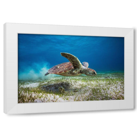 Take Off White Modern Wood Framed Art Print by Gabriel, Barathieu