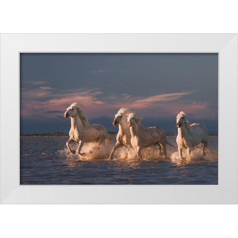 Angels Of Camargue White Modern Wood Framed Art Print by Anton, Rostovskiy