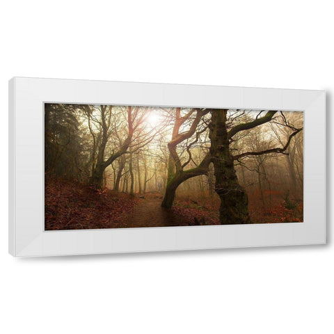 My Autumn Walk.. White Modern Wood Framed Art Print by Londal, Leif
