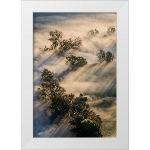 Slalom Light White Modern Wood Framed Art Print by Marini, Roberto