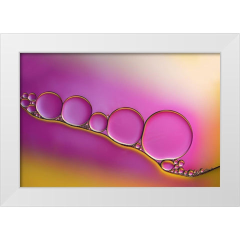 Sweet Blush White Modern Wood Framed Art Print by Westum, Heidi